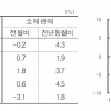 지난달 소비 3.1% 감소…코로나19 영향으로 경기회복 기대 어려워