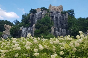 군포시, 2020년 초막골 시민참여 생태모니터링단 운영