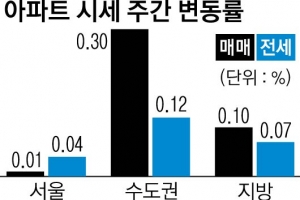 서울 소형아파트↑… 강남4구 6주째 뚝