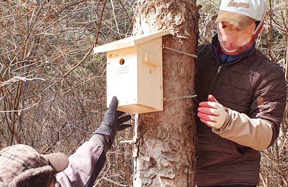 군포시 관계자들이 2일 조류의 주택난이 심해지자 초막골생태공원에 인공새집을 설치하고 있다. 군포시 제공 
