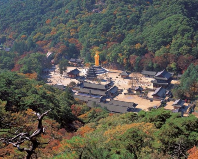 조계종 제5교구 본사인 충북 보은 법주사. 최근 코로나19의 확산을 우려한 종단과 정부의 연기 요청에도 주지 선출을 위한 산중총회를 강행해 비난을 사고 있다. 서울신문 DB 