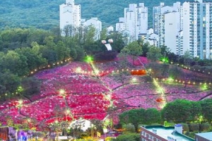 군포시, ‘2020년 철쭉축제’ 전면 취소…코로나19 확산 방지