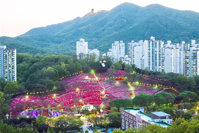 코로나19 확산으로 전면 취소된 군포시 절쭉축제 전경(자료사진) 군포시 제공