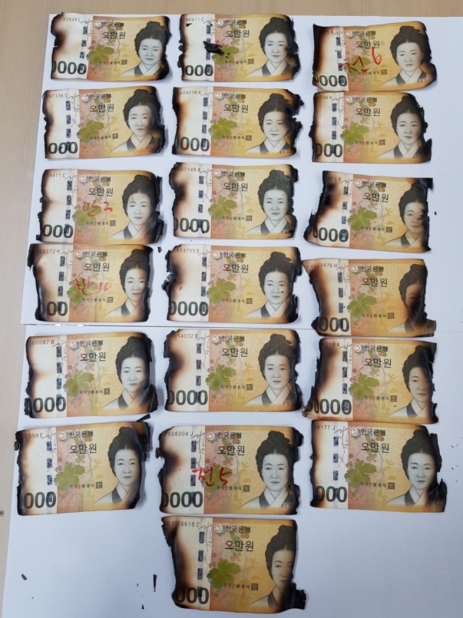 코로나19 소독을 한다고 지폐를 전자레인지에 넣고 돌렸다가 훼손되는 사례가 잇따르고 있다.  한국은행 제공