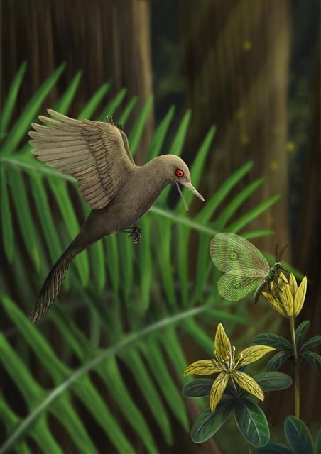 지금까지 발견된 공룡 중 가장 작은 오쿨루덴타비스가 곤충을 사냥하는 가상도. 중국 지질과학대 제공