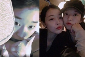 김선아, 故설리 반려묘 고블린 품었다 “김희철 도움 감사”[전문]