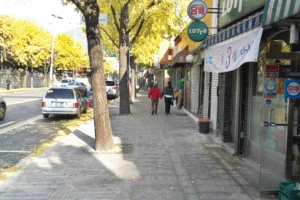 대청마루 걷는 듯… ‘사람을 생각하는 길’ 종로산책