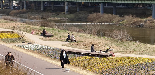 안양천변에 심은 형형색색 봄꽃이 자태를 뽐내며 천변을 찾은 시민들을 유혹하고 있다. 안양시 제공