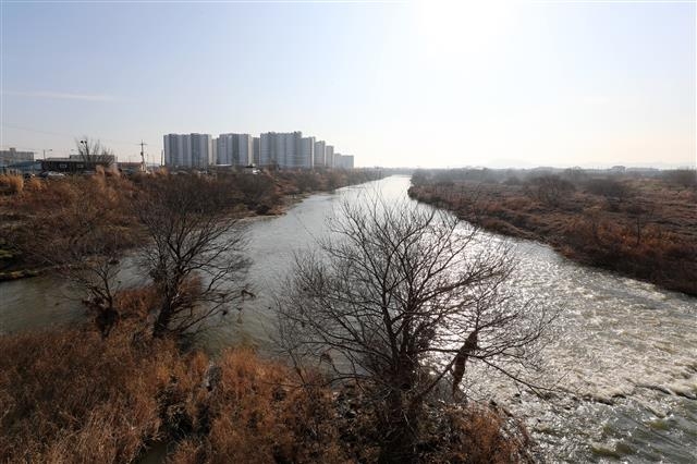 광주 광산구 장록·어룡동 등에 걸쳐 북쪽에서 남쪽으로 흐르는 황룡강 장록습지 전경. 광산구와 주민이 공론화 조사에 합의한 뒤 지난해 12월 벌인 여론조사에서 85.8%가 찬성해 국가습지 보호지역으로 지정될 전망이다. 광산구 제공