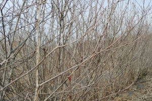 “공익직불금 신청 전 ‘농업경영체’ 등록정보 변경하세요”