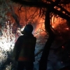660㎡ 면적 태운 수락산 산불… 강풍 속 5시간 만에 진화