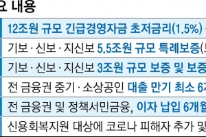 “벌이 없는데 싼 대출은 무슨… 현금 지원 같은 통 큰 결단 왜 없나”