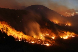 [포토] 강풍 타고 번지는 울산 울주군 산불