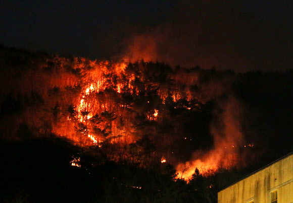 19일 오후 울산시 울주군 일대 야산에 산불이 번지고 있는 가운데 청량읍 한 초등학교 뒷산에도 불길이 일고 있다. 2020.3.19 <br>연합뉴스