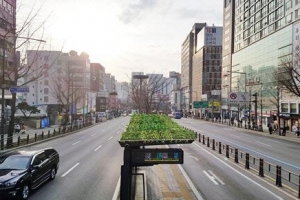 서울 버스정류장 지붕엔 식물이 산다