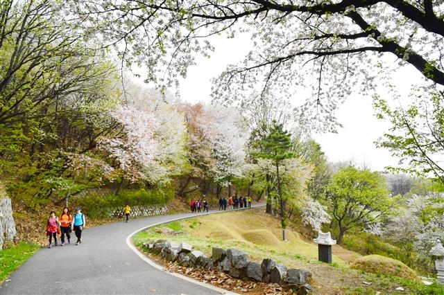 주민들이 중랑구 망우동 망우리공원 산책로 ‘사색의 길’을 거닐고 있다. 중랑구 제공