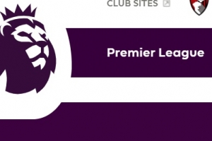 EPL 선수들 연봉 삭감 반대 “구단주 배 불리느니 세금 내는 게”