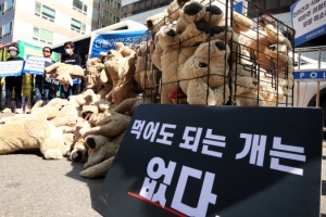 ‘개 전기도살’ 다섯 번 재판 끝에 벌금형 선고유예 확정