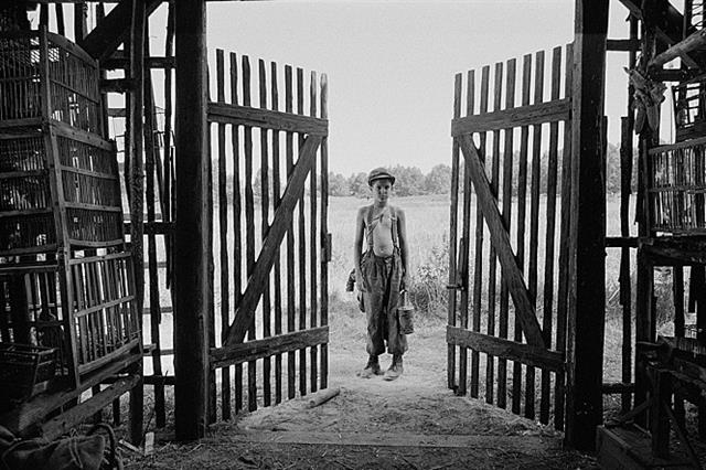 페인티드 버드 스틸컷