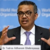 “‘시체 포대’ 더 보고 싶나” WHO 사무총장, 트럼프에 ‘막말’