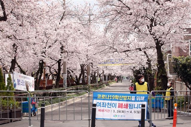 코로나19 확산 방지를 위해 29일 경남 창원시 진해구 여좌천에 있는 로망스다리가 폐쇄돼 있다. 창원시는 진해군항제를 취소했음에도 관광객이 몰려올 것에 대비해 경화역공원 등 벚꽃 명소의 입구를 막았지만 사람들이 계속 찾아와 시민 불만이 높다고 전했다.  창원 뉴스1