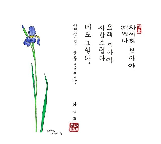 자세히 보아야 예쁘다… '풀꽃 시인'도 그렇게 낮고 겸손하다 | 서울신문