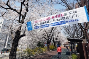 동대문도 ‘벚꽃 엔딩’ 동참… “방문 자제 부탁드려요”