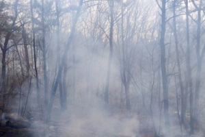 평택시 무봉산 중턱서 불…“헬기 투입 진화 중”