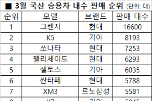 코로나19에도 차는 날개돋친 듯 팔렸다