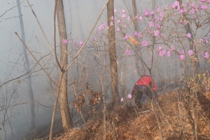 용인 왕구리뒷산서 강풍 속 불…“헬기 동원 진화중”