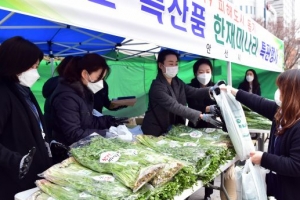 청도군, 대구서 한재 미나리 ‘드라이브 스루’ 판매 행사