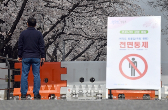 코로나 19 여파로 여의도 벚꽃길 출입이 전면 통제된 2일 서울 여의도에서 한 시민이 막힌 도로 앞에 서 있다. 2020.4.2 박지환기자 popocar@seoul.co.kr
