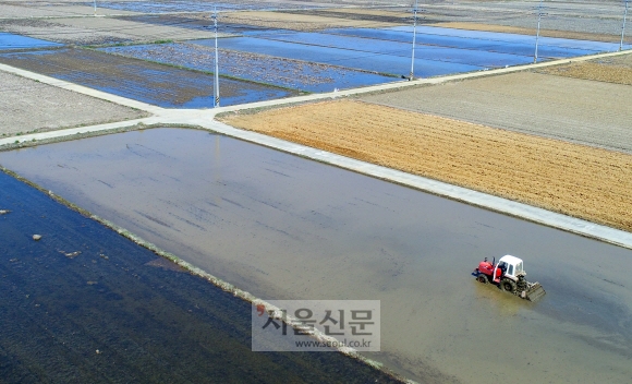 완연한 봄날씨를 맞이한 6일 강원도 양양시의 한 논에서 농부가 땅을 고르는 작업을 하고 있다. 2020.4.6 박지환기자 popocar@seoul.co.kr