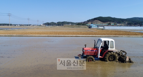 완연한 봄날씨를 맞이한 6일 강원도 양양시의 한 논에서 농부가 땅을 고르는 작업을 하고 있다. 2020.4.6 박지환기자 popocar@seoul.co.kr