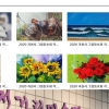 과천 ‘거리 미술관’ 전시 작품 온·오프라인 관람