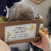 안양시, 우울감 높은 노인에게 ‘행운꾸러미’ 전달