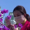 북한, 코로나19 세계적 대유행 속에도 “확진자 0명” WHO에 보고