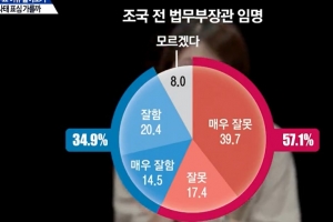 [D-6, 총선매눈분석] 지지정당 바꾼 77%가 조국 반대?