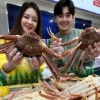 축제 취소된 대게들 이마트로… “35% 싸게 팝니다”