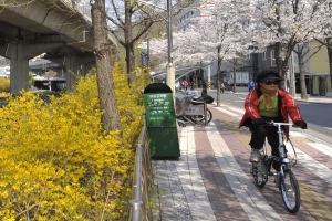 모든 서대문구민, 자전거 보험 자동 가입.. 3년 내 청구 가능