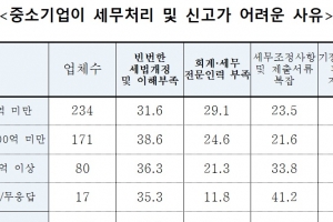 국세청, 7월부터 중소기업 세무컨설팅…수입 100억~1000억 대상