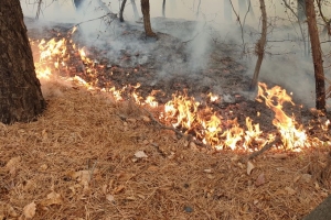 수원 광교산서 불…헬기 12대 투입 진화