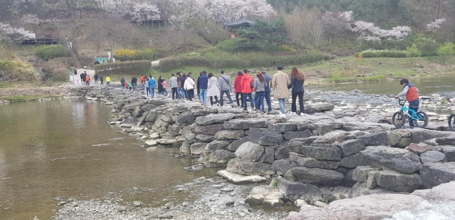 방문객들이 진천의 명물인 농다리를 걷고 있는 모습. 진천군 제공