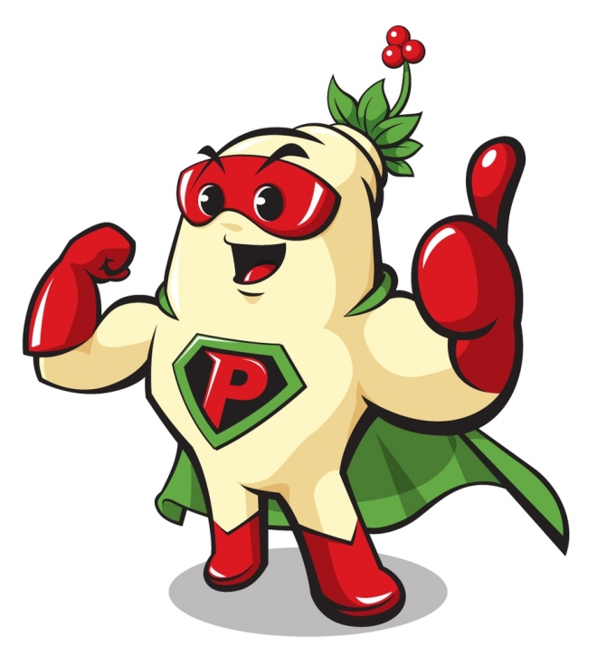 풍기인삼엑스포 마스코트. 영주시 제공