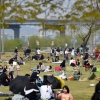 [서울포토] ‘투표하고 한강공원으로 놀러 왔어요’