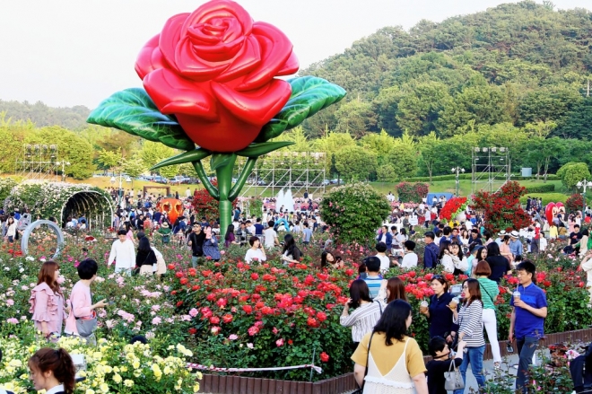지난해 5월 울산대공원에서 열린 장미축제. 올해는 코로나19 확산 방지를 위해 취소됐다.