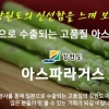 55초 만에 2000상자 완판된 ‘반값 아스파라거스 유감’