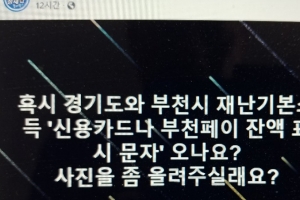 경기도 재난기본소득 사용잔액 통보문자 카드사마다 “제각각”