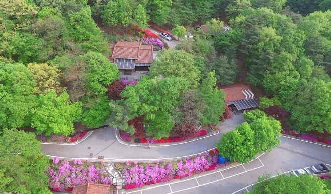 충북 음성 수레의산 자연휴양림. 2020.4.10  음성군 제공