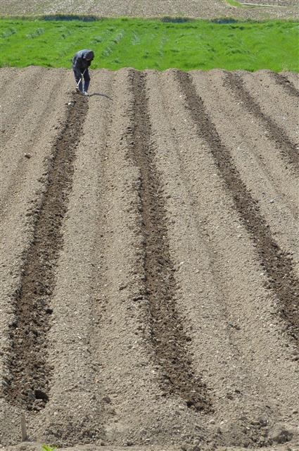 기지개 켜는 논밭… 올해는 풍년 들까요